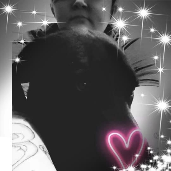 brewerlizzie33